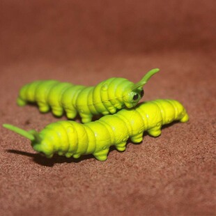 蚕虫宝宝 毛毛虫子 safari 仿真昆虫模型玩具场景摆件