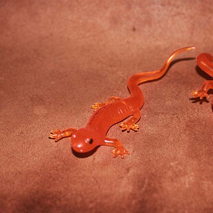 火蜥蜴 蝾螈 safari 仿真爬行动物模型玩具