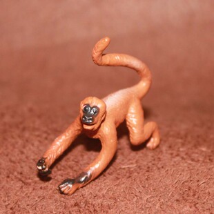 猴子宝宝 小猴子 safari 仿真野生动物模型玩具