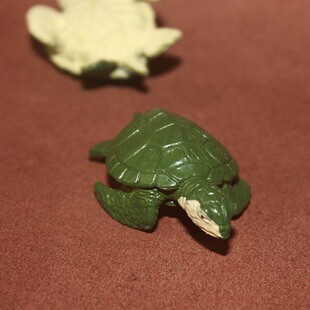 乌龟 野生两栖动物 海龟 仿真动物模型玩具 safari