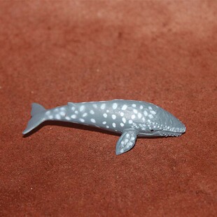 safari 蓝鲸摆件 仿真海洋鲨鱼动物模型玩具