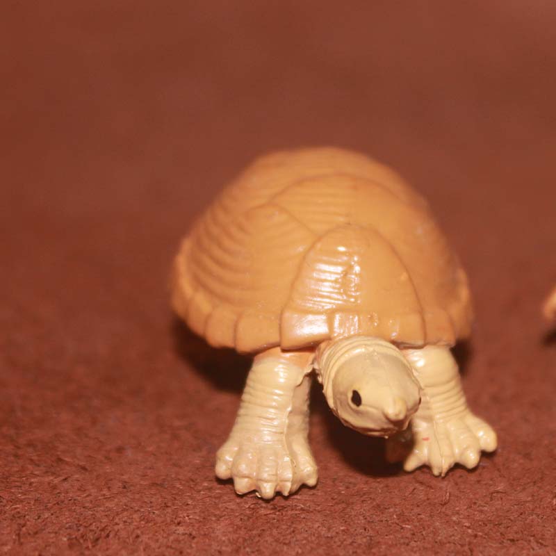 safari 仿真海洋动物模型玩具 棕色乌龟 陆地龟