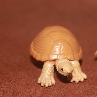陆地龟 棕色乌龟 safari 仿真海洋动物模型玩具