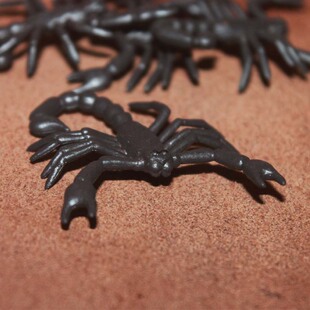 safari 黑蝎子 仿真昆虫模型玩具场景摆件