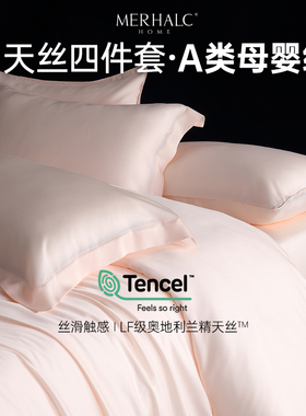 tencel兰精天丝四件套冰丝a类凉感夏天床上用品轻奢高级感定制