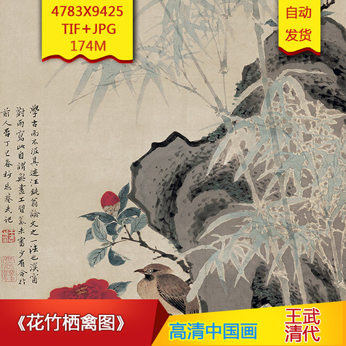 《花竹栖禽图》清代王武作品高清国画电子图片装饰画素材