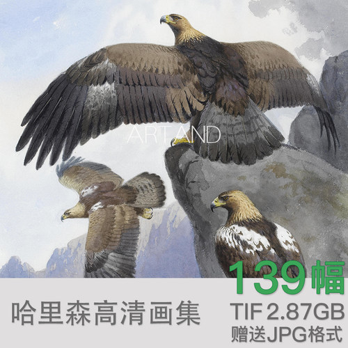 高清约翰哈里森高清花鸟类油画水彩临摹装饰喷绘素材绘画资料