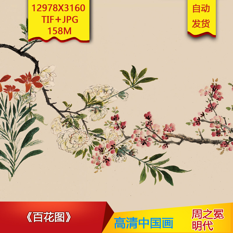 百花图明代周之冕作品高清国画电子版大图片装饰画芯素材画芯临摹