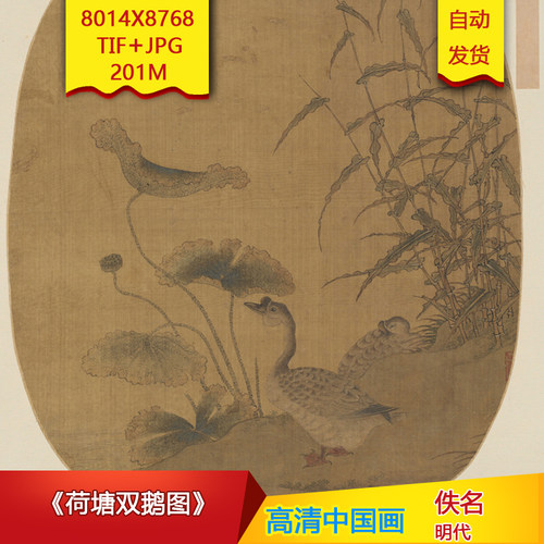 《荷塘双鹅图》明代佚名作品高清国画电子图片装饰画素材