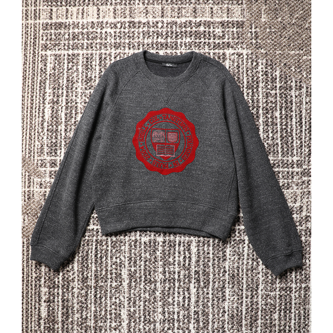 TANG TOWN自制 美式复古 时髦懒人 羊毛/棉/天丝植绒字母抓绒卫衣