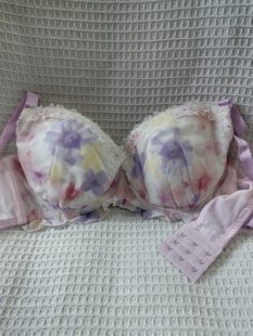 大码34/75F日韩内衣文胸有无钢圈聚拢刺绣蕾丝多扣无插垫杂款