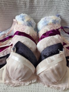 大码32/70F日韩内衣文胸有无钢圈聚拢刺绣蕾丝多扣无插垫杂款