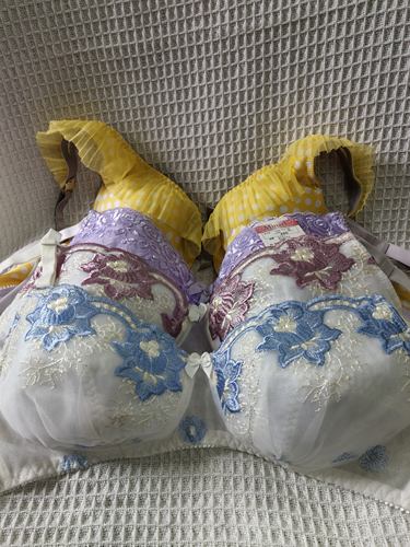 大码38/85A日韩内衣文胸有无钢圈聚拢刺绣蕾丝多扣无插垫杂款
