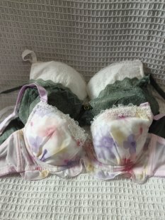 大码34/75C日韩内衣文胸有无钢圈聚拢刺绣蕾丝多扣无插垫杂款