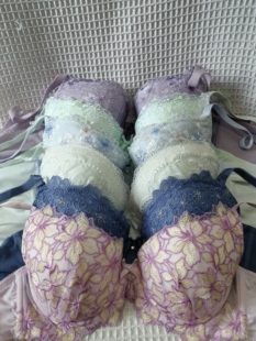 大码34/75C日韩内衣文胸有钢圈聚拢刺绣蕾丝多扣无插垫杂款