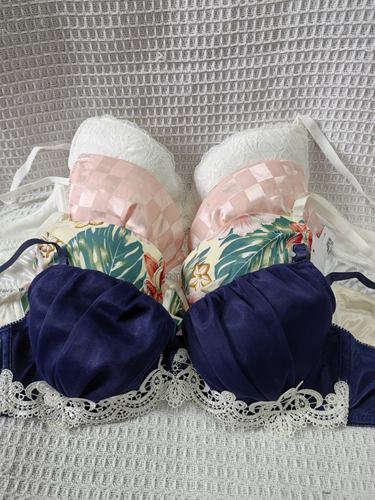 大码34/75C日韩内衣文胸有钢圈聚拢刺绣蕾丝多扣无插垫杂款