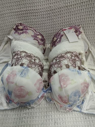 大码34/75D日韩内衣文胸有无钢圈聚拢刺绣蕾丝多扣无插垫杂款