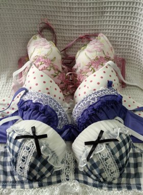 大码32/70C（S）日韩内衣文胸有钢圈聚拢刺绣蕾丝多扣无插垫杂款