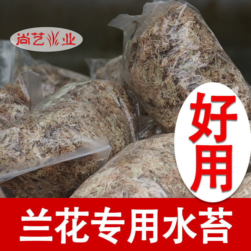 蝴蝶兰国产智利进口营养土干苔藓图片