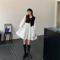 Real price loose shawl Long Sleeve Dress