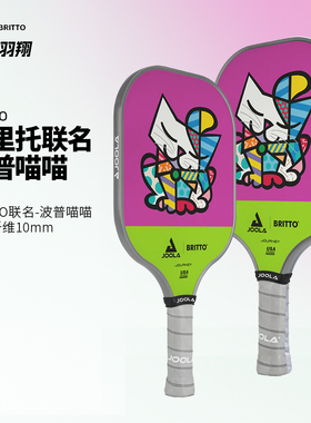 JOOLA优拉USAPA认证匹克球拍BRITTO波普喵喵联名款球拍板18346