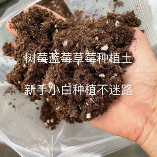 家庭园艺树莓草莓蓝莓专用种植土小白种植不迷路5斤大约15L