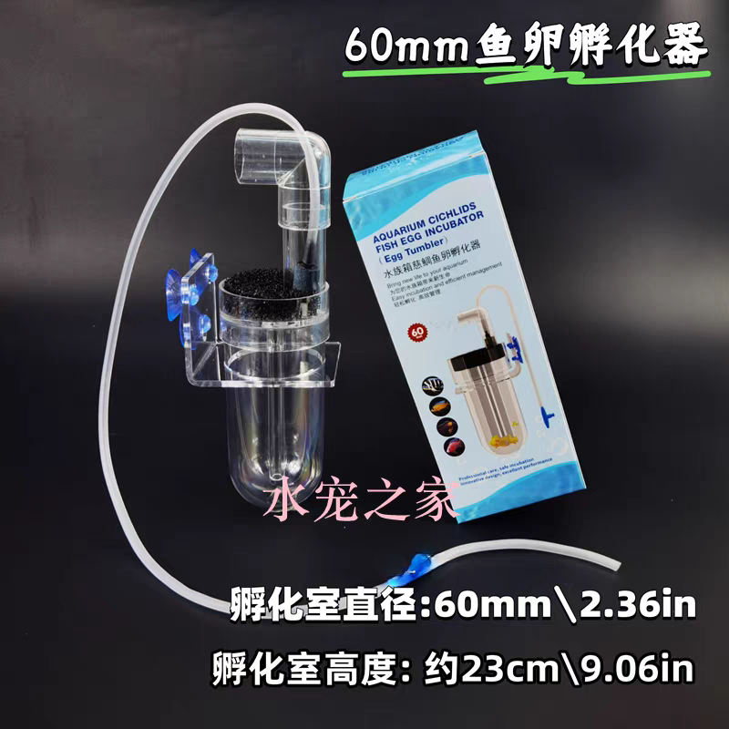 60MM鱼卵孵化器三湖慈鲷底栖异型热带鱼口孵鱼卵胡子大帆繁殖工具
