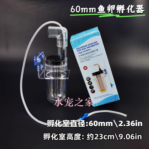 三湖慈鲷高透鱼卵孵化器