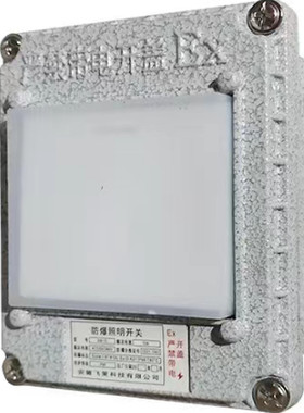 防爆220v单双一二三四工业开关
