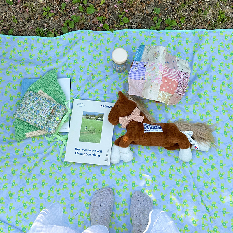 韩国自制夏季露营野餐布ins风小清新郊游草坪垫户外沙滩垫野餐垫