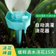 2018新品 家用可调自动浇花滴水器滴灌系统浇灌器花草多肉浇水器