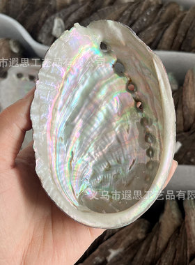 天然珍珠鲍鱼壳鼠尾草香薰燃烧容器贝壳水元素创意家居装饰品