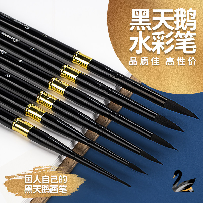 旅行装黑天鹅水彩画笔美术专用6号8号单支圆头水彩松鼠毛画笔套装