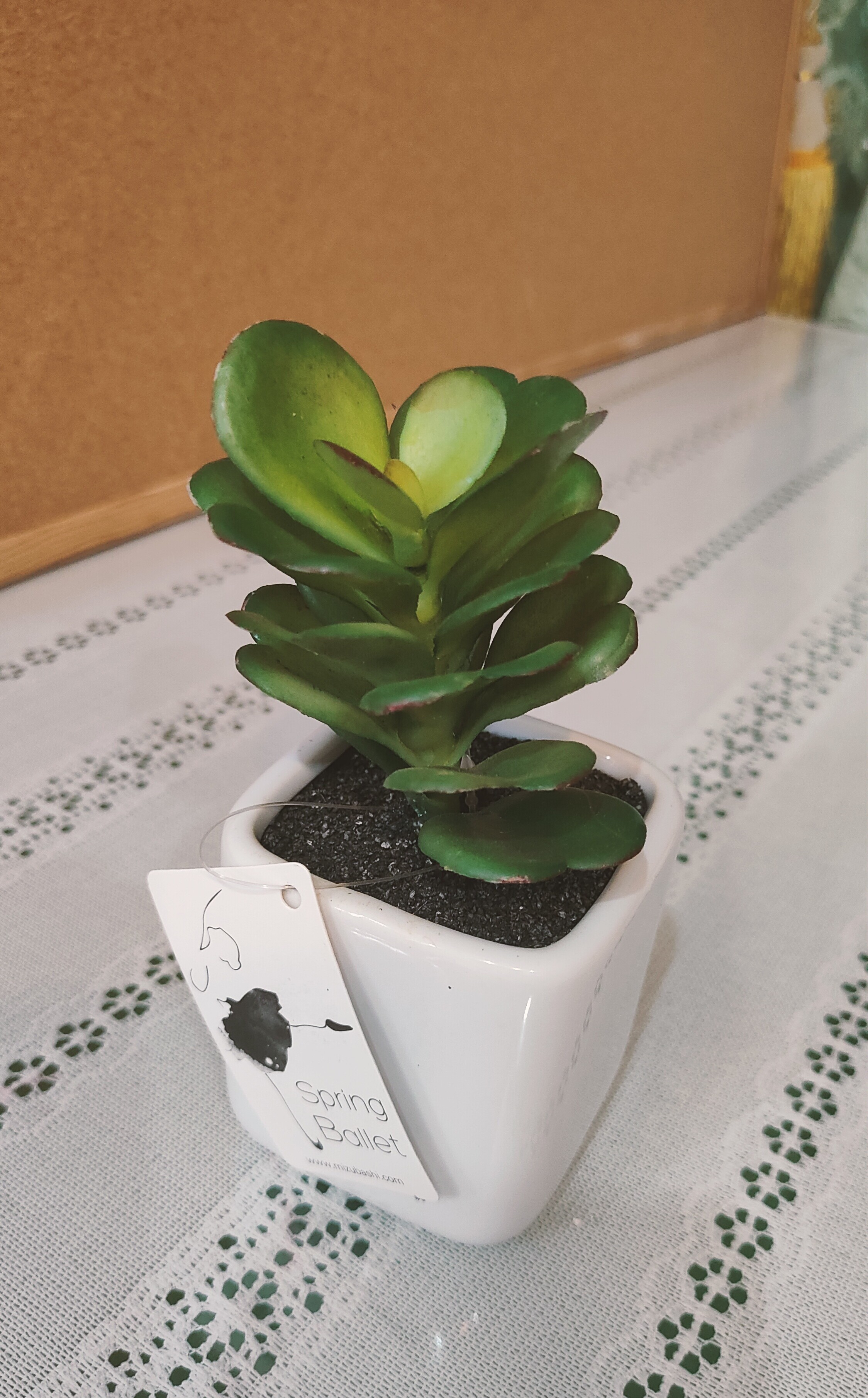 仿真多肉开心莲塑料植物盆栽桌面摆件仿生绿植多肉小盆景