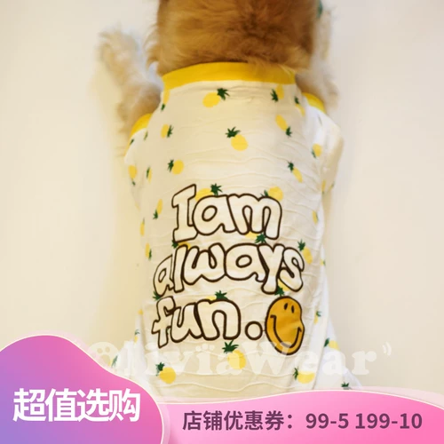 Большая собачья анти -сбоя