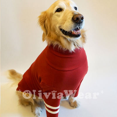 边牧金毛纯棉高弹高领护肘衣