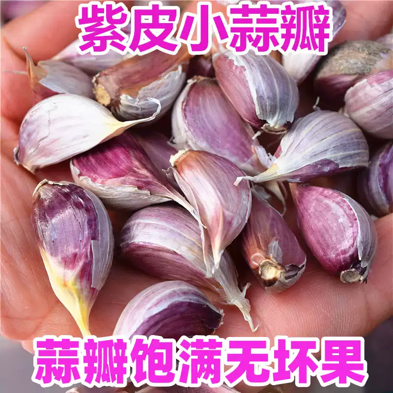 新鲜紫皮小蒜瓣干蒜子饱满香辣红皮蒜小香蒜瓣苔蒜苗蒜硬杆小蒜瓣