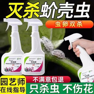 皎洁花卉杀虫水乳剂 家 用花卉植物杀虫剂多肉除虫剂花杀虫