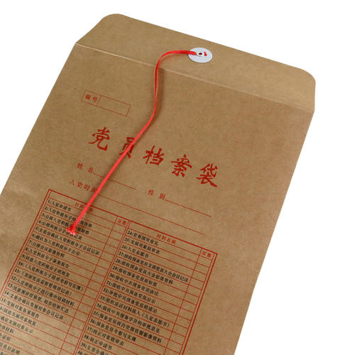 10个A4党员档案袋牛皮纸