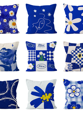 ins简约克莱因蓝抱枕居家沙发抱枕护腰靠枕宿舍办公室午休抱枕