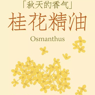 中国特色超临界C02桂花单方精油浓郁花香紧致抗皱提亮香薰调香