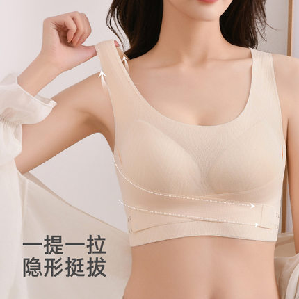 抖音同款文胸大胸显小美背收副乳防下垂调整型防震奢内衣小胸聚拢