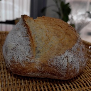 天然酵母乡村面包自制烘焙酸面包无油0蔗糖