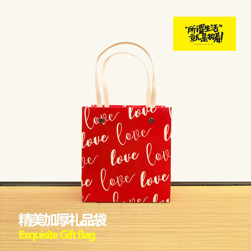 【亏本清】精美加厚礼品袋LOVE纸袋小清新手提袋购物袋伴手礼袋子