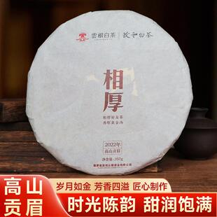 2022年政和白茶茶饼高山贡眉福建白茶福鼎老白茶叶357g大饼自饮装