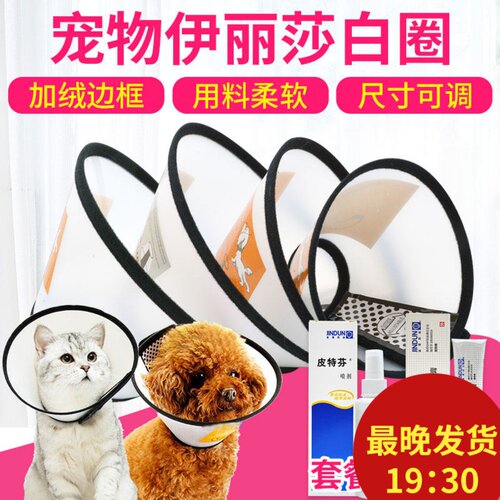 伊丽莎白圈狗狗猫咪项圈