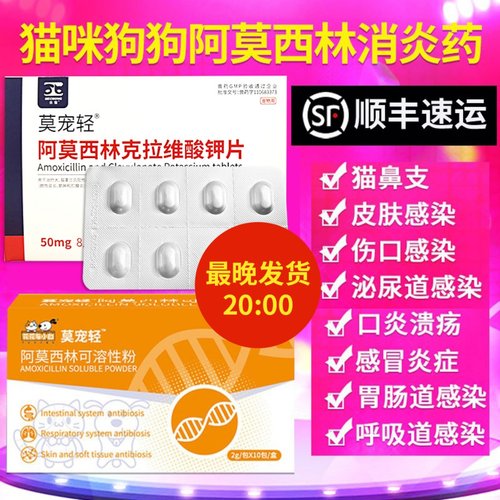 猫感冒药打喷嚏流鼻涕狗猫阿莫西林消炎药阿莫西林克拉维酸钾宠物