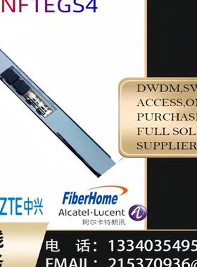 华为OSN1800V TNF1EGS4  TNF1EGS4-