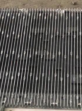 诺西FBBC总共有10多个