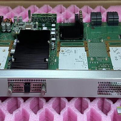 华为N401 TNU5N401 一路100Gbits线路业